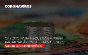 Credito Para Pequena Empresa Pagar Salarios Ja Esta Valendo - Blog - Veiga Contabilidade